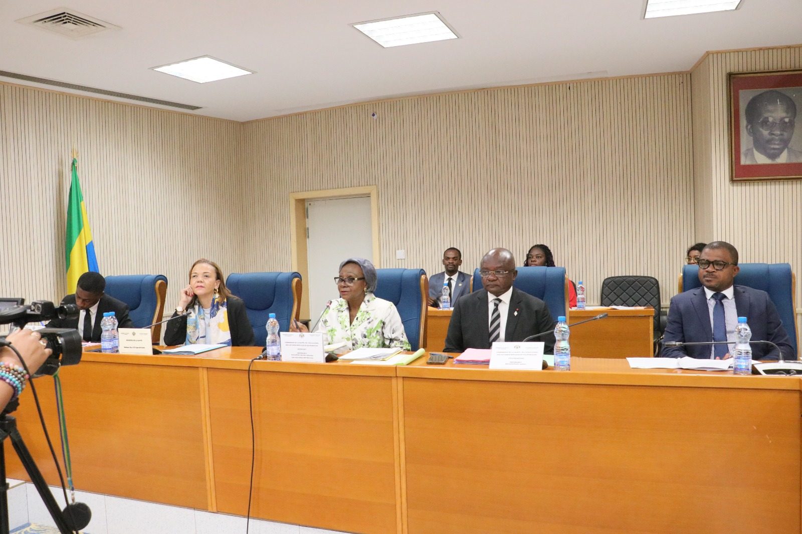 Pr Elsa Nkana Joséphine Ayo épouse Bivigou défend les réformes structurantes du secteur devant la Représentation nationale